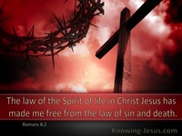 The Law Of The Spirit